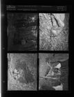 Woman killed and buried in shallow grave (4 Negatives) (November 14, 1957) [Sleeve 27, Folder b, Box 13]